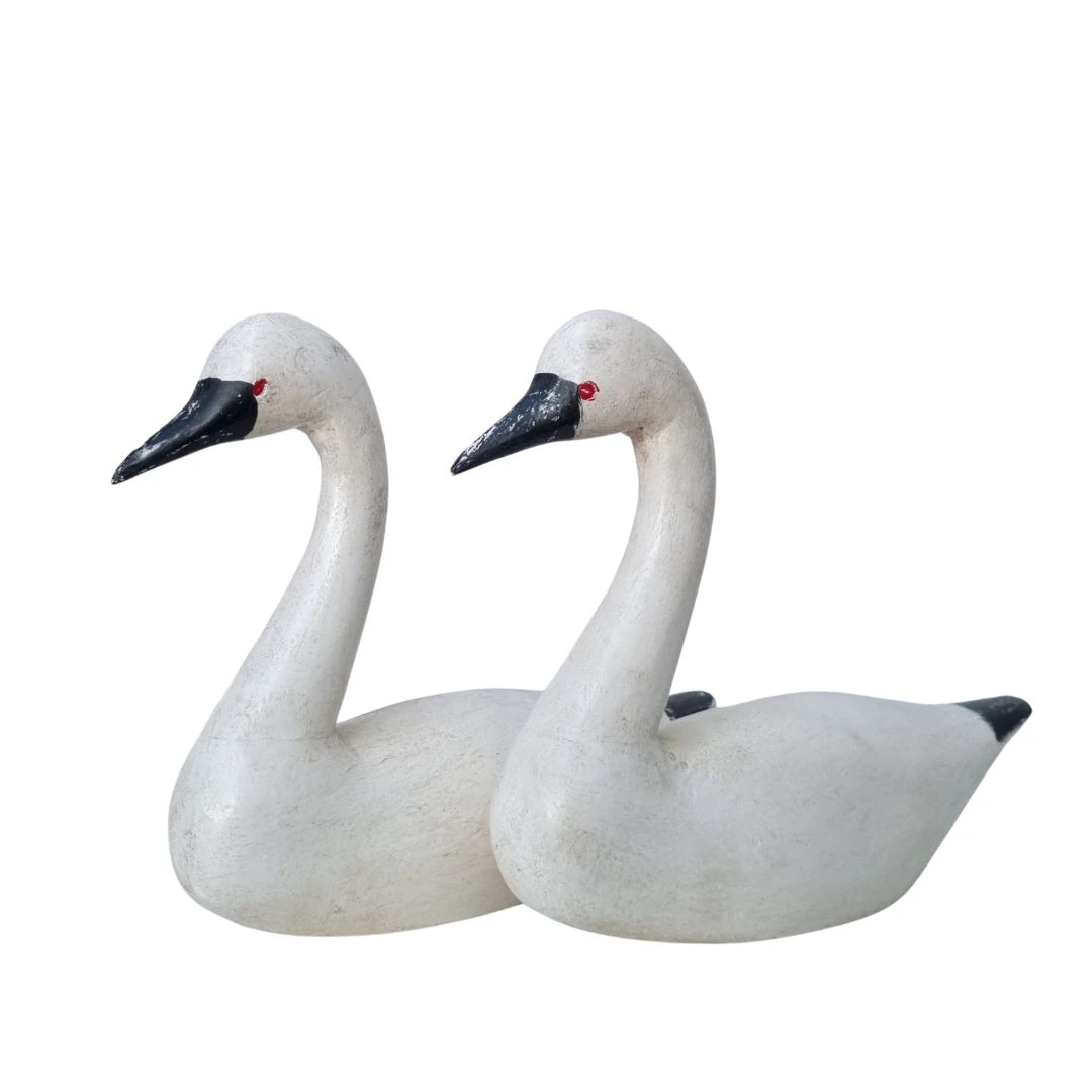 Pato de Madera Blanco - Image 3